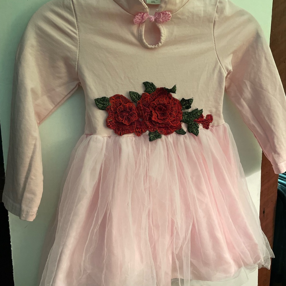 Girl’s Balletcore Dress, Ballet Pink w/Rich red rose embroidery